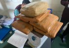 Petugas Bandara Minangkabau Gagalkan Pengiriman 7 Kilogram Diduga Ganja di Area Kargo