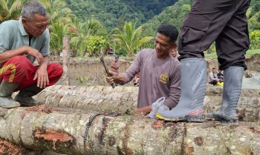 Polsek Tanjung Raya Bersama TNI, PU dan Warga Bangun Jembatan Darurat di Jalan Amblas Maninjau